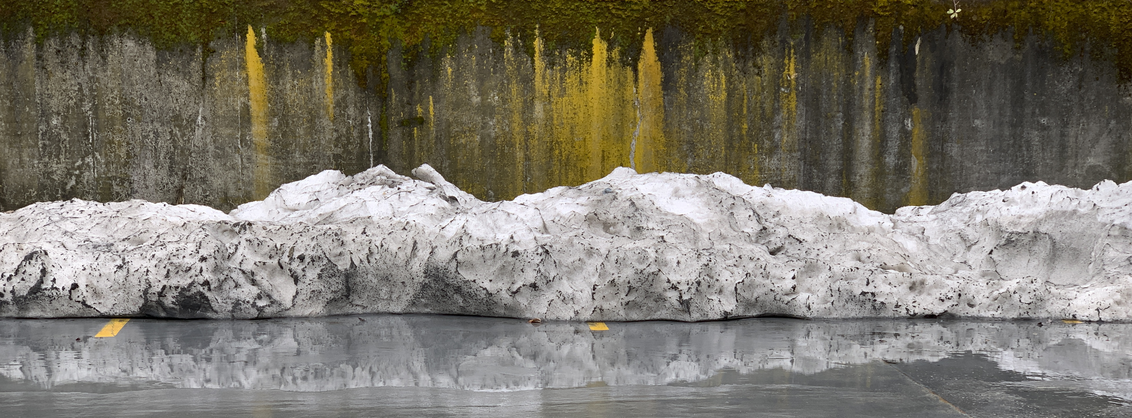 fred meyer parking lot slush