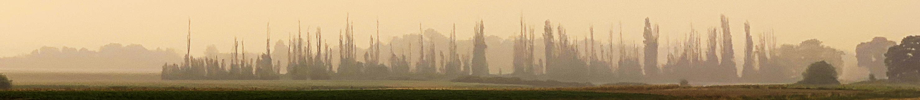 smokey sauvie island