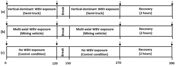 Biomarker whole body vibration study. Subjects watched Planet Earth to stay alert and relaxed.