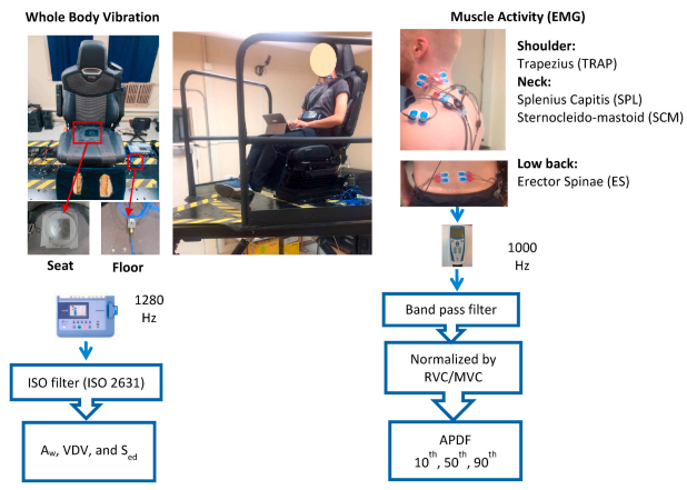 Whole body vibration while performing tasks.